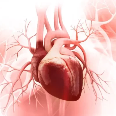 7 عادات لصحة قلب أفضل